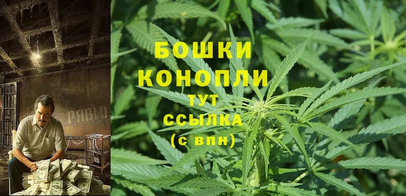 Конопля SATIVA & INDICA  где купить наркотик  Горбатов 